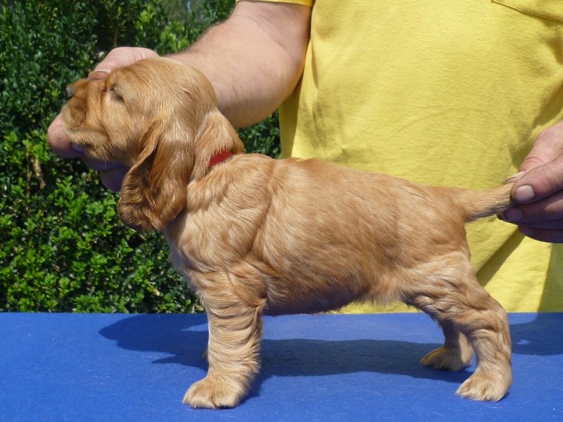 9. Gina pod Ořechem-červená.JPG